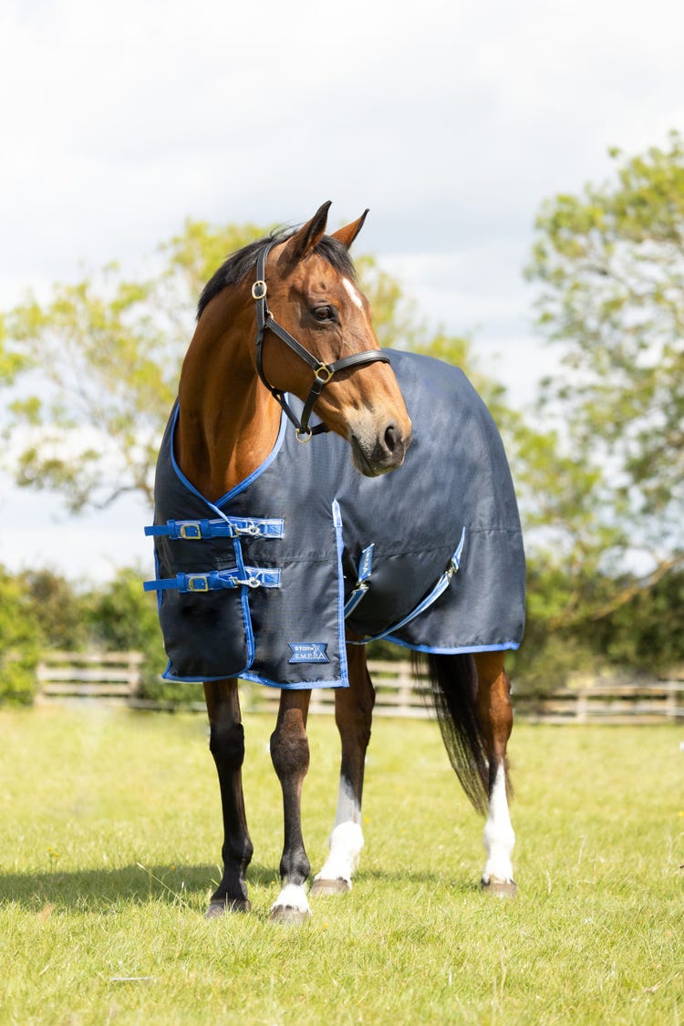 StormX Empra Reflect 0g Turnout Rug image 3